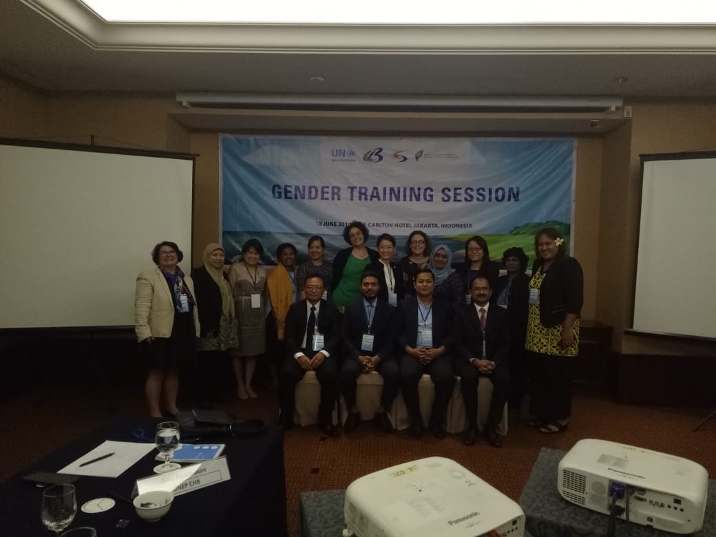 Training workshop on integrating a gender perspective in the sound management of chemicals and waste
